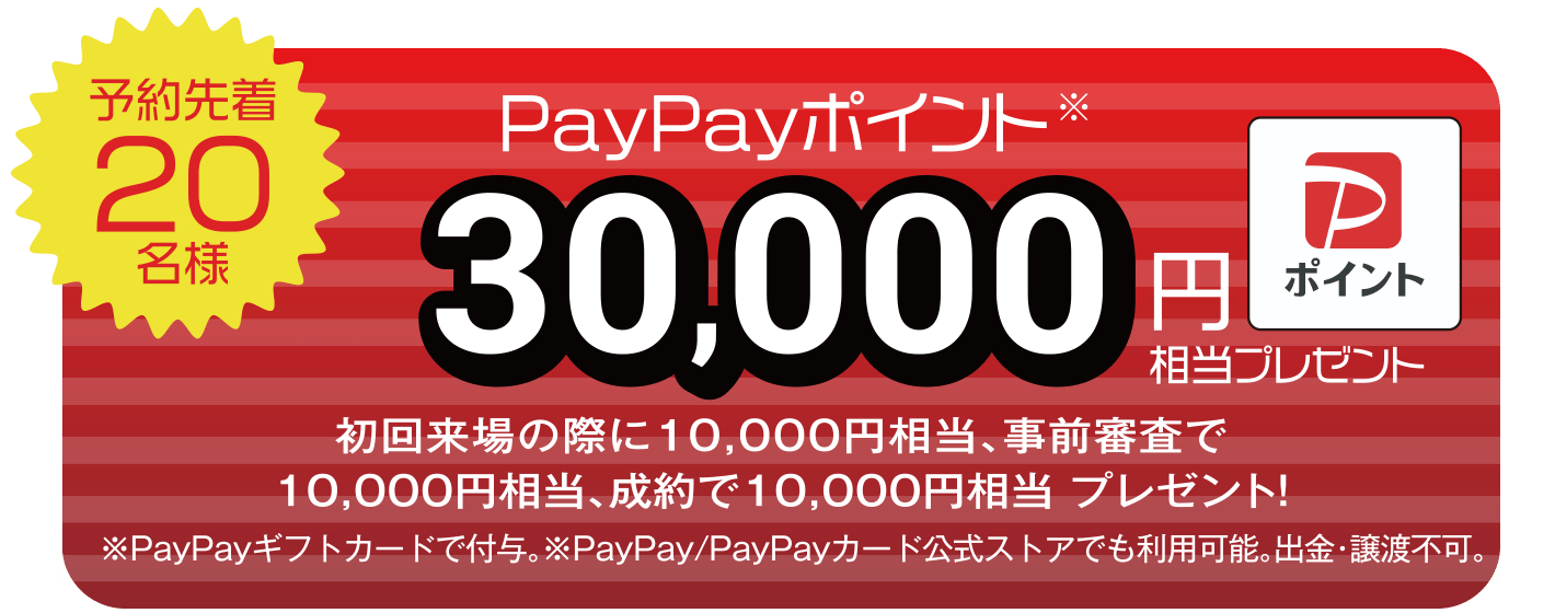 PayPayポイント最大30,000円相当進呈